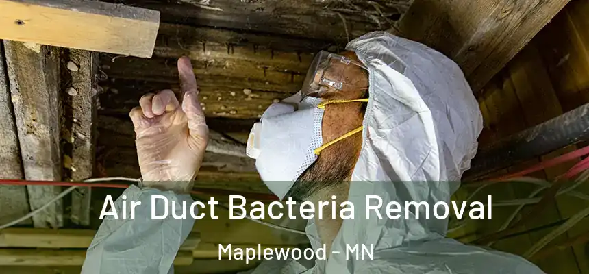  Air Duct Bacteria Removal Maplewood - MN