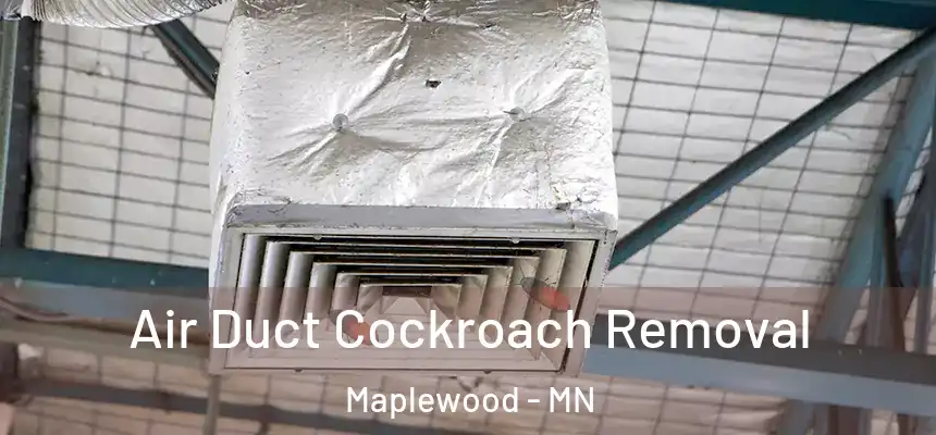  Air Duct Cockroach Removal Maplewood - MN