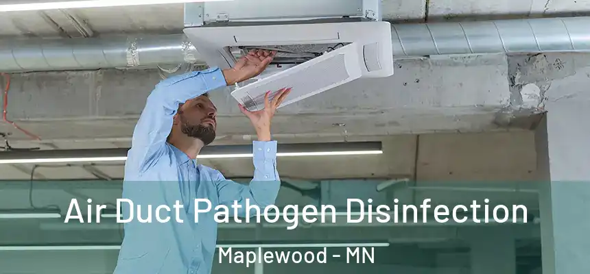  Air Duct Pathogen Disinfection Maplewood - MN