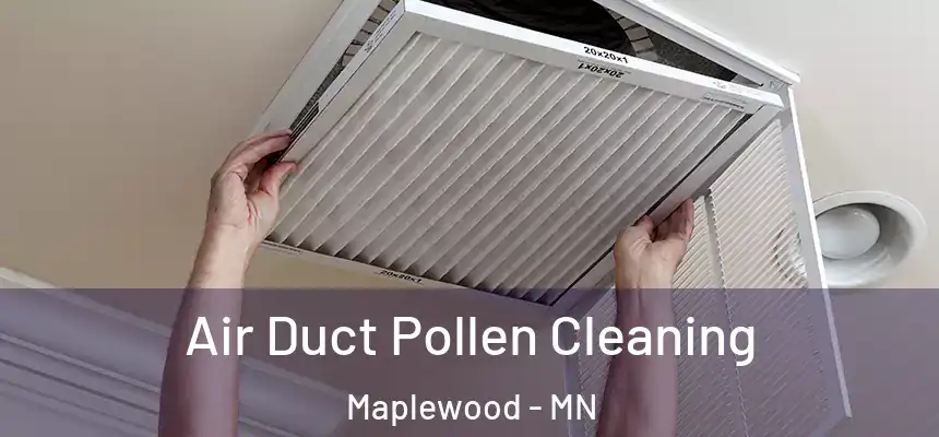  Air Duct Pollen Cleaning Maplewood - MN