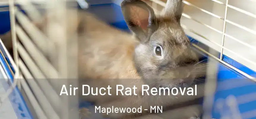  Air Duct Rat Removal Maplewood - MN