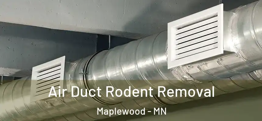 Air Duct Rodent Removal Maplewood - MN