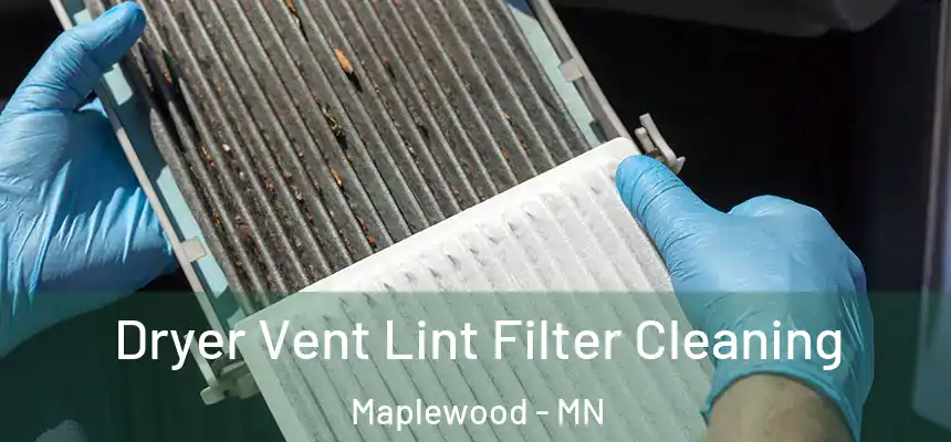  Dryer Vent Lint Filter Cleaning Maplewood - MN