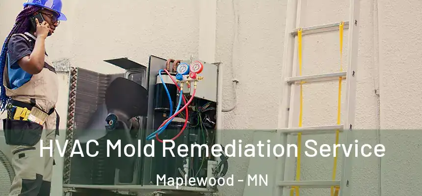  HVAC Mold Remediation Service Maplewood - MN