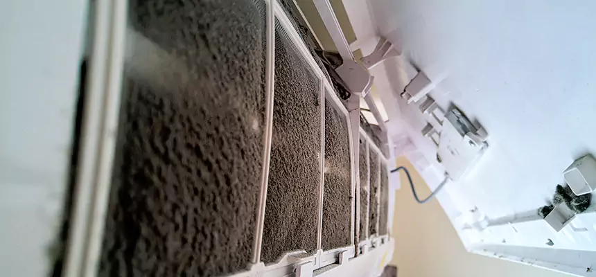 Preventive Air Duct Bacteria Removal in Maplewood