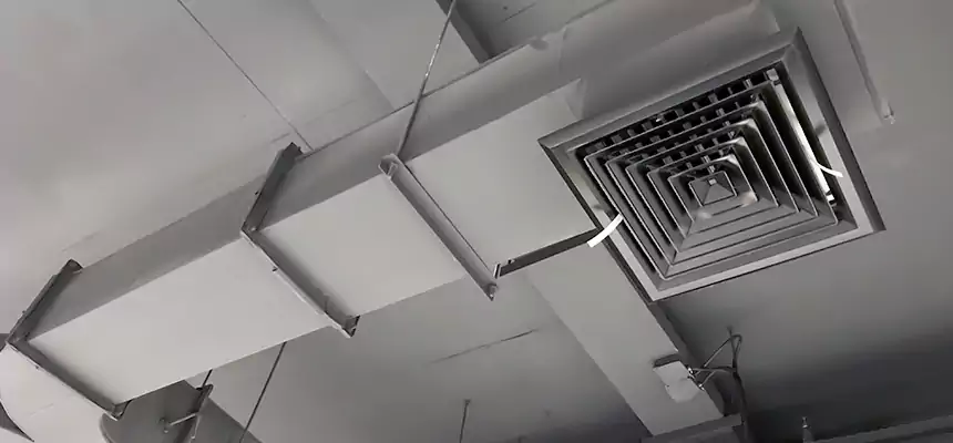 Restorative Allergy Relief Vent Cleaning – Coil, Blower & Housing Detail in Maplewood