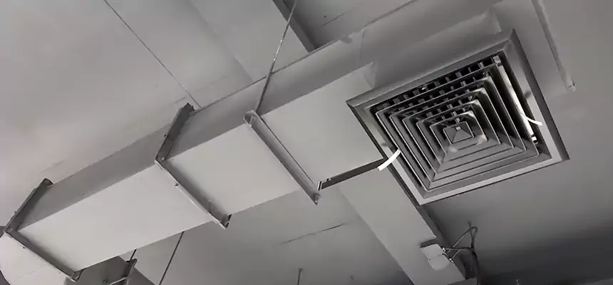 Our Pest Removal From Ducts Services in Maplewood, MN