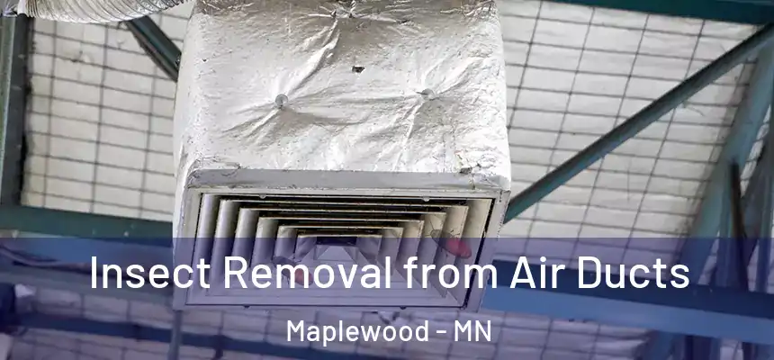  Insect Removal from Air Ducts Maplewood - MN