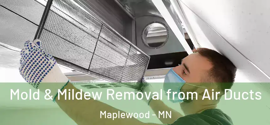  Mold & Mildew Removal from Air Ducts Maplewood - MN