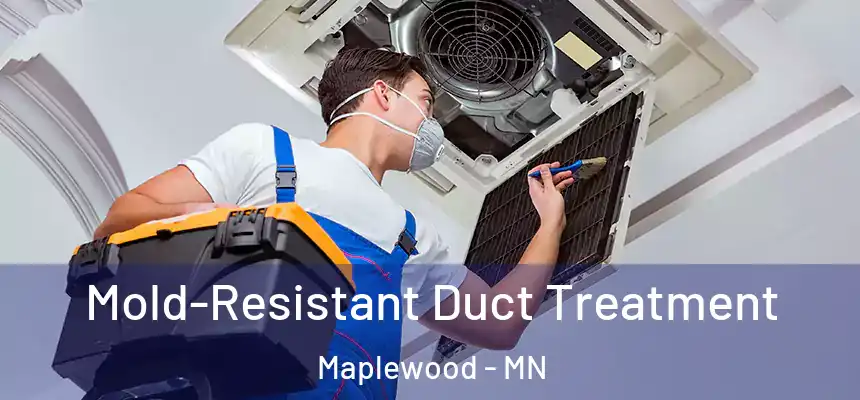  Mold-Resistant Duct Treatment Maplewood - MN