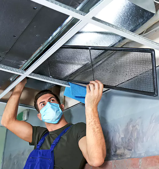 About Air Duct Bacteria Removal in Maplewood