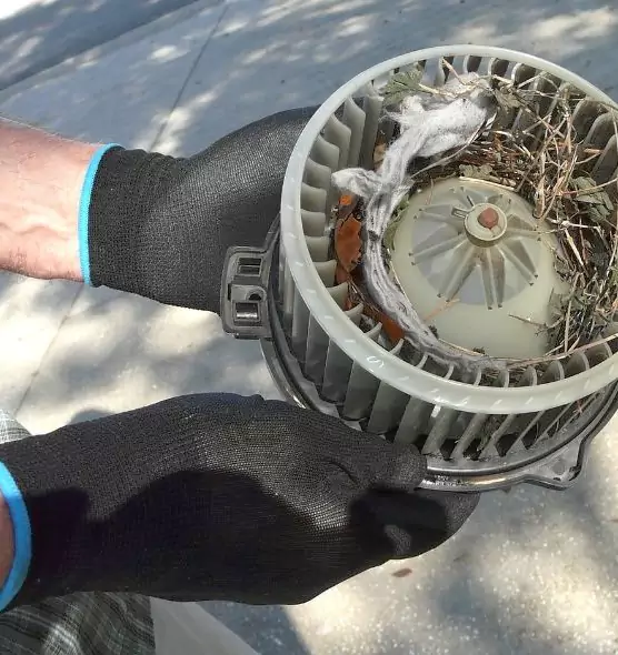 About Air Duct Rat Removal in Maplewood, MN