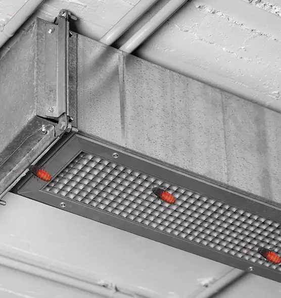 Affordable Insect Removal from Air Ducts in Maplewood, MN