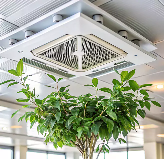 Why Homeowners & Businesses Trust Us in Maplewood, MN?